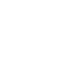 Icône - Diagnostic Termites - RPP DIAGNOSTICS